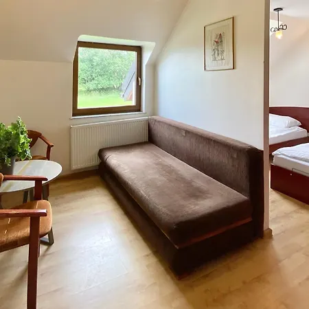 Ski&spa Zieleniec *