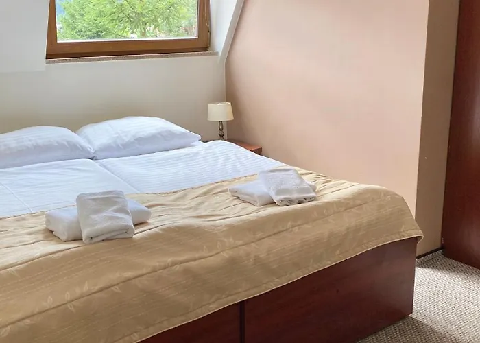 Ski&spa Zieleniec منتجع دوشنيكي زدروي